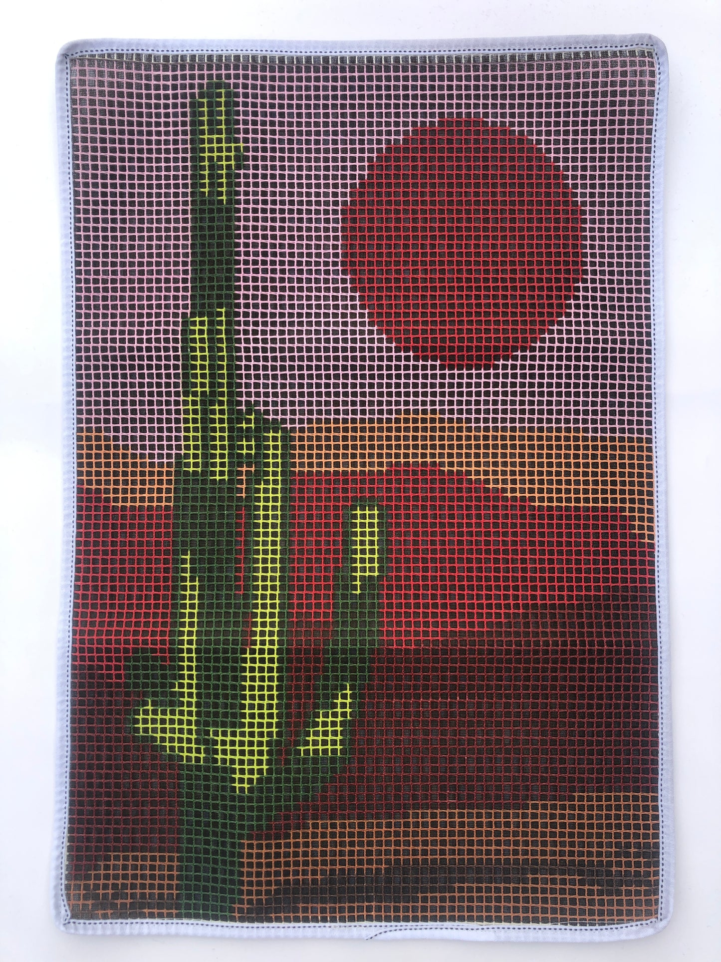 Cactus Latch Hook Kits for Adults & Beginners-Real Finished Rug Photo-Complete DIY Craft Kit, Includes Pre-Printed Canvas, Pre-Cut Yarns, Tool, Number Chart (Size 23.6" X 15.8")